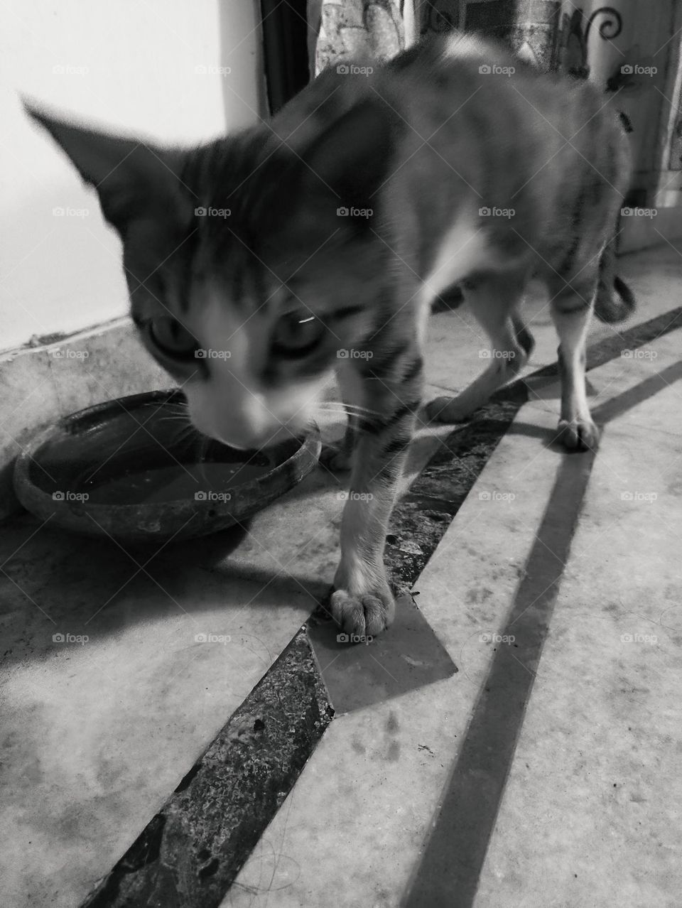 I'm hungry and not thirsty waiting for my food