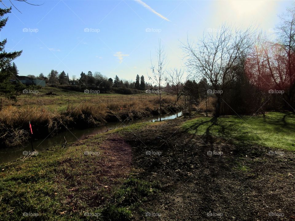 creek view