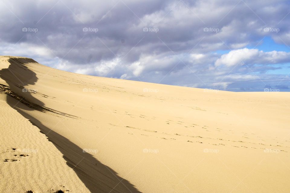Sand Dune and Shadow