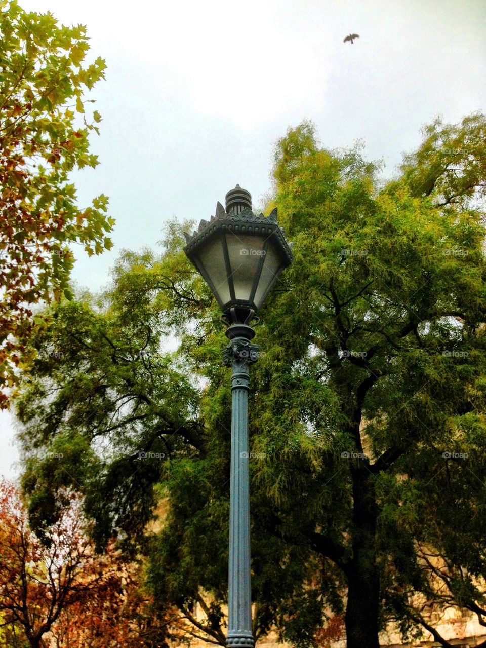 The lamp in the Park