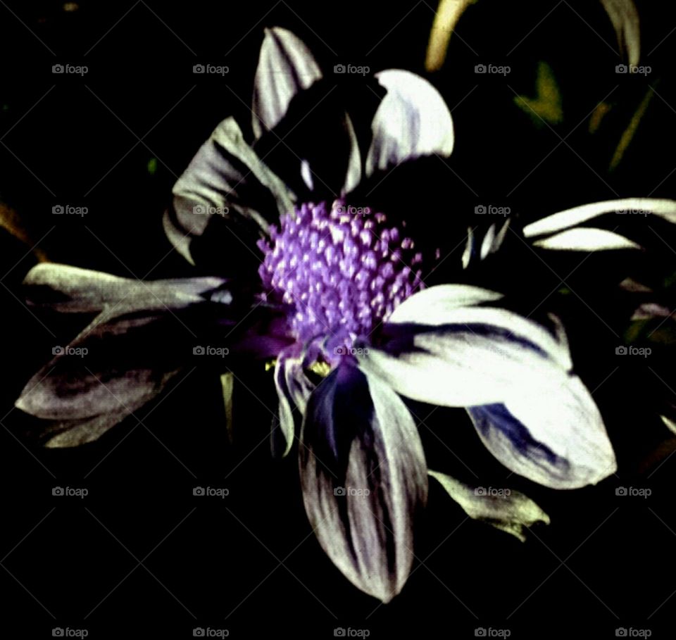 moody. lighting effects