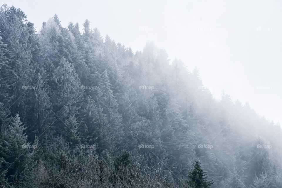 Landscape photo of nature in mountains during winter season 