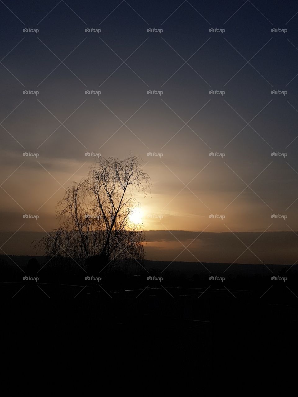 Sonnenuntergang  in Februar