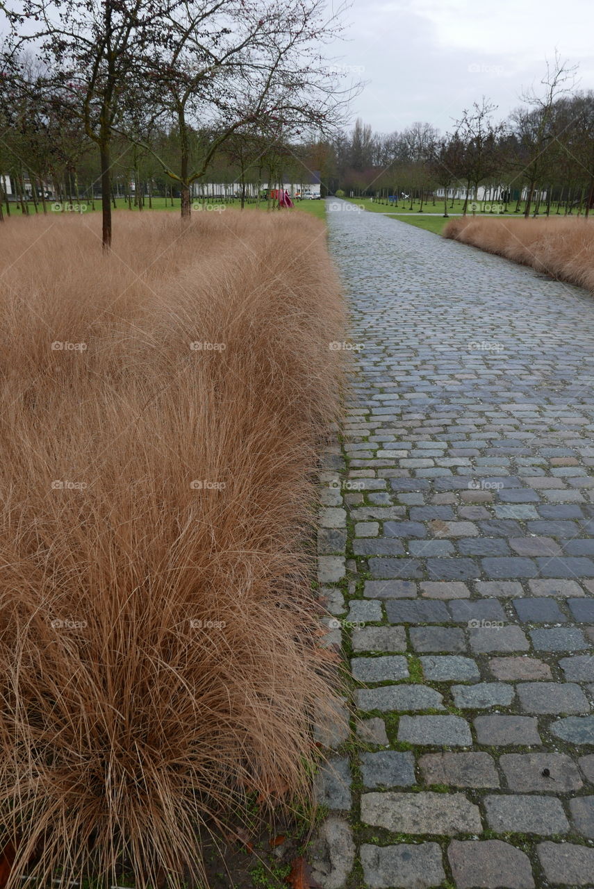 In a park in Antwerp