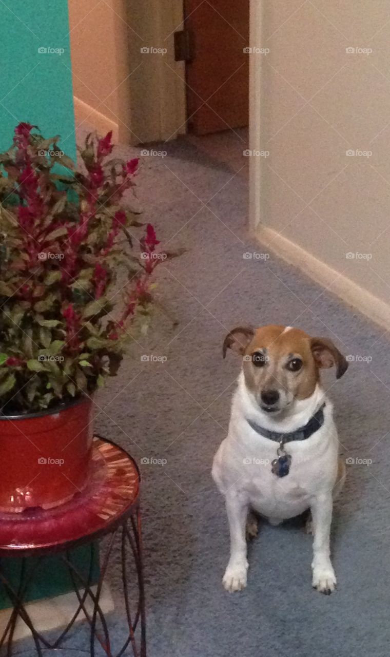 What are you waiting for 