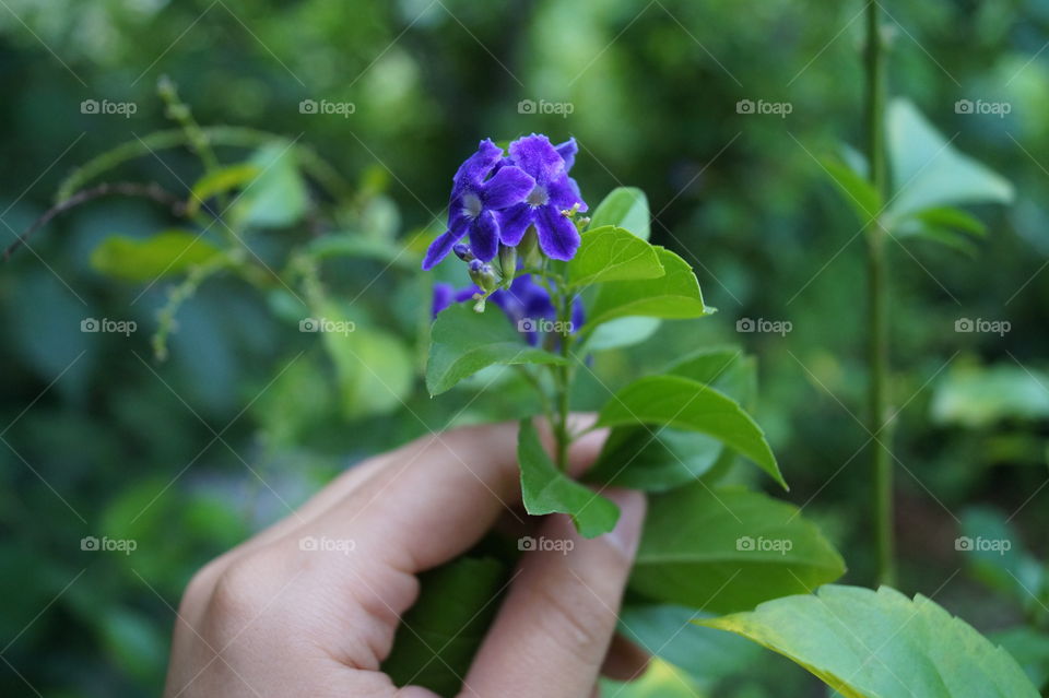 True nature no Filter