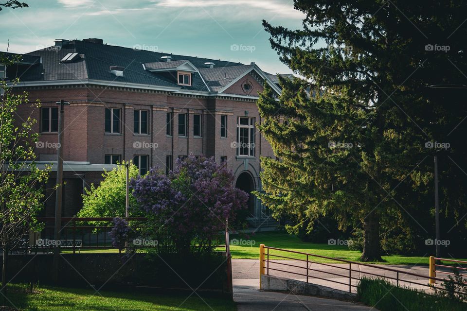 Montana State University building.
