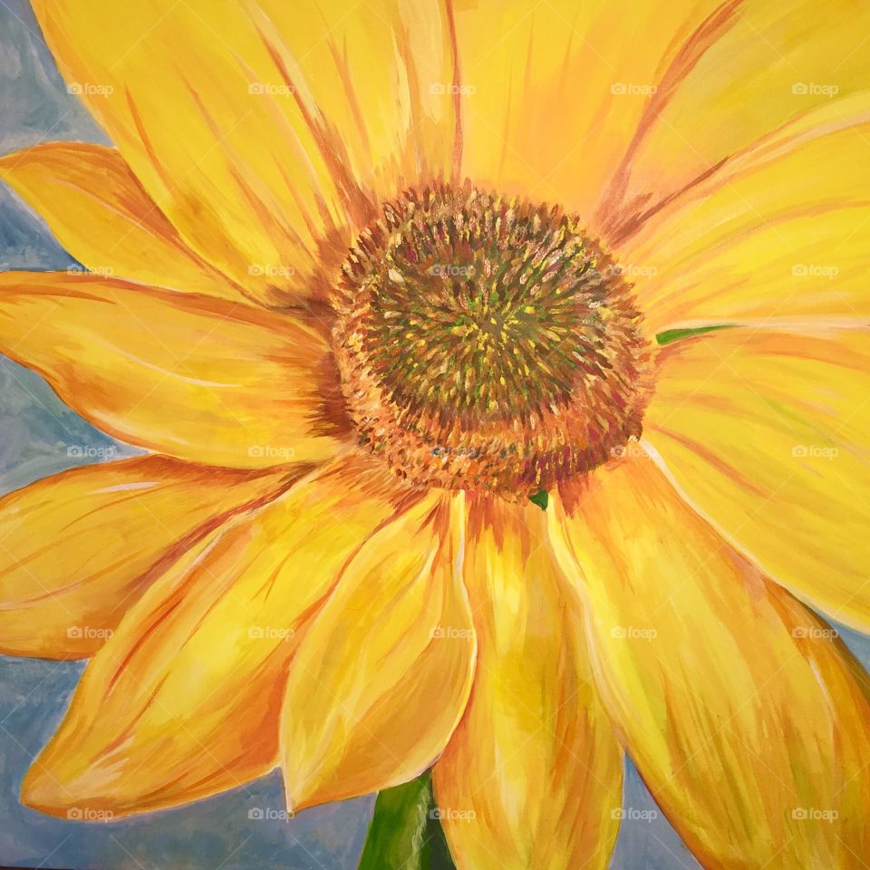 Sunflower on canvas