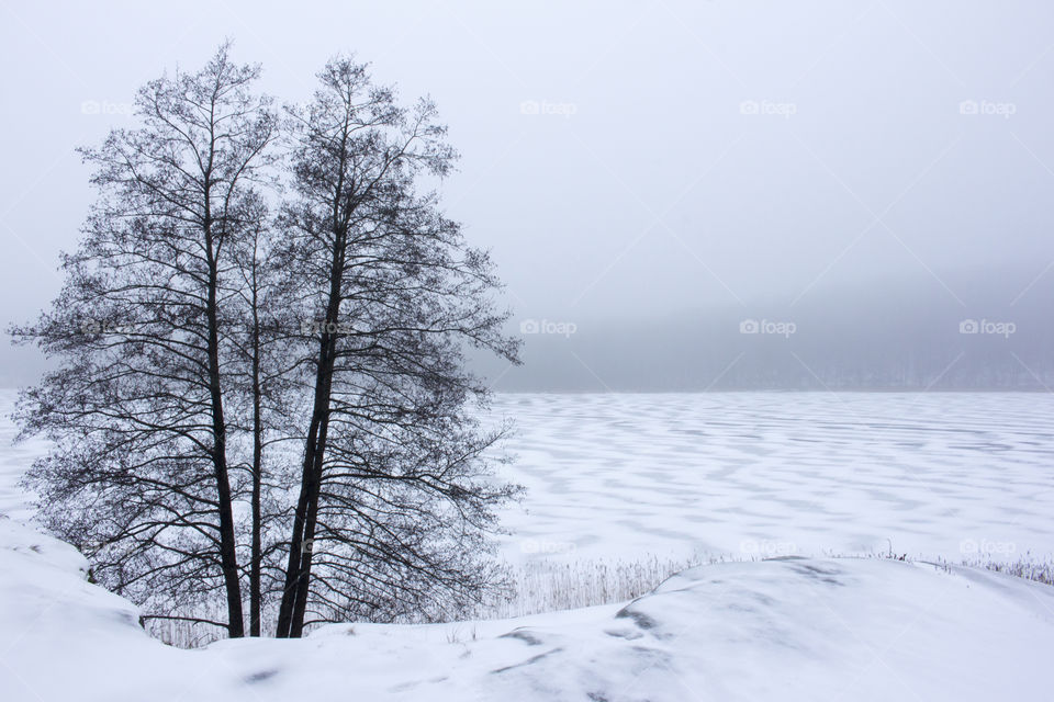 View of snowy landscape