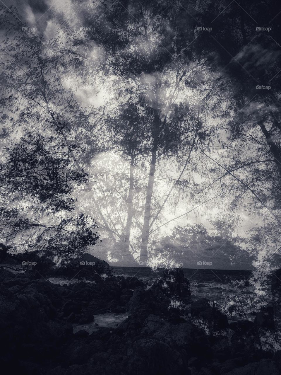 Natural scenery in different places