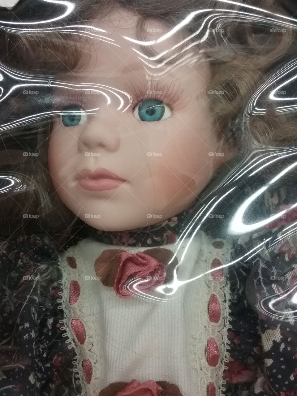 Doll in Glossy Package