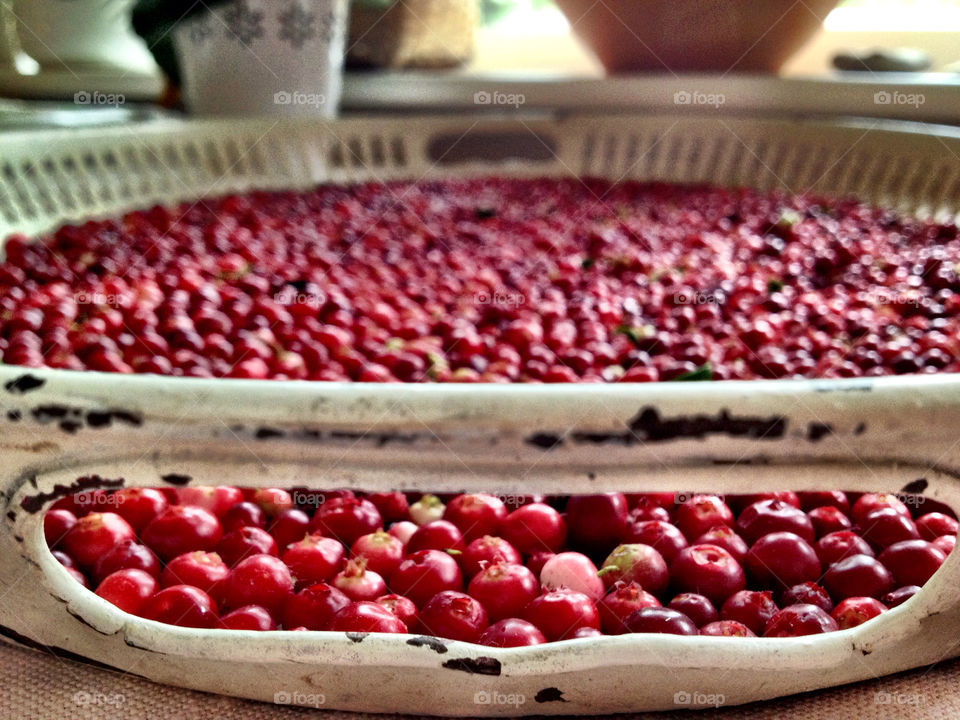 sweden macro close red by matsvart