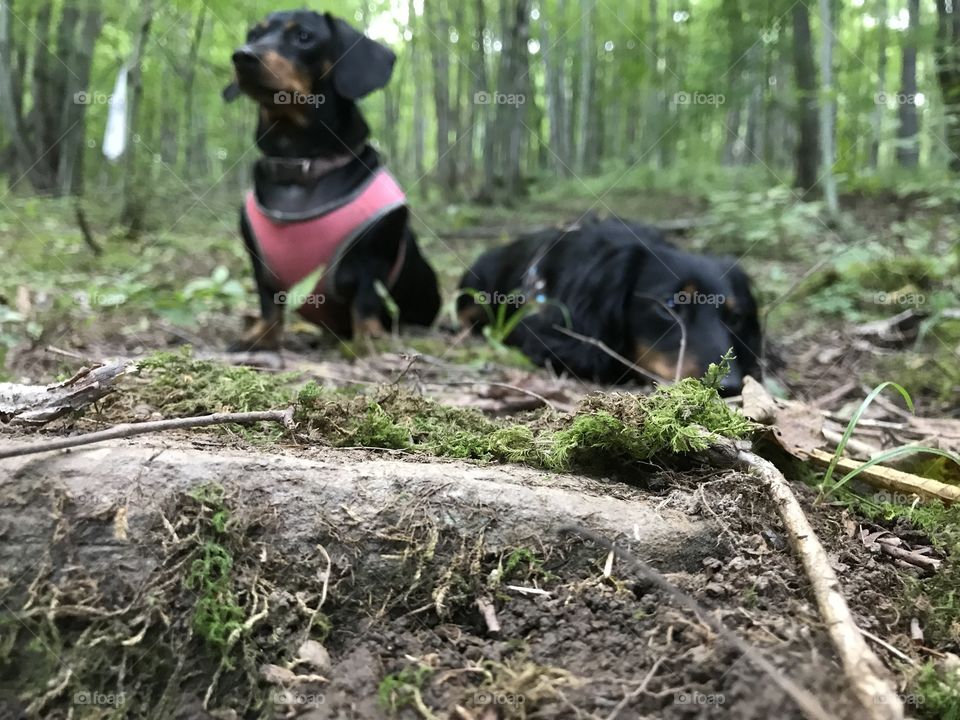 Not all who wonder are lost