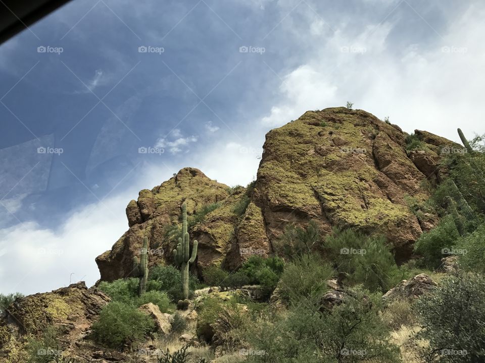 Arizona 