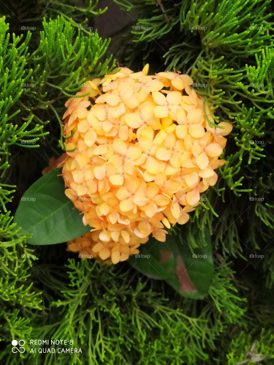 É impressionante a beleza que a natureza apresenta.