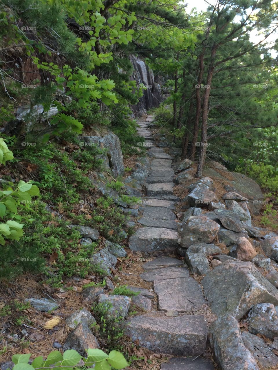 Stone path way up mountain 