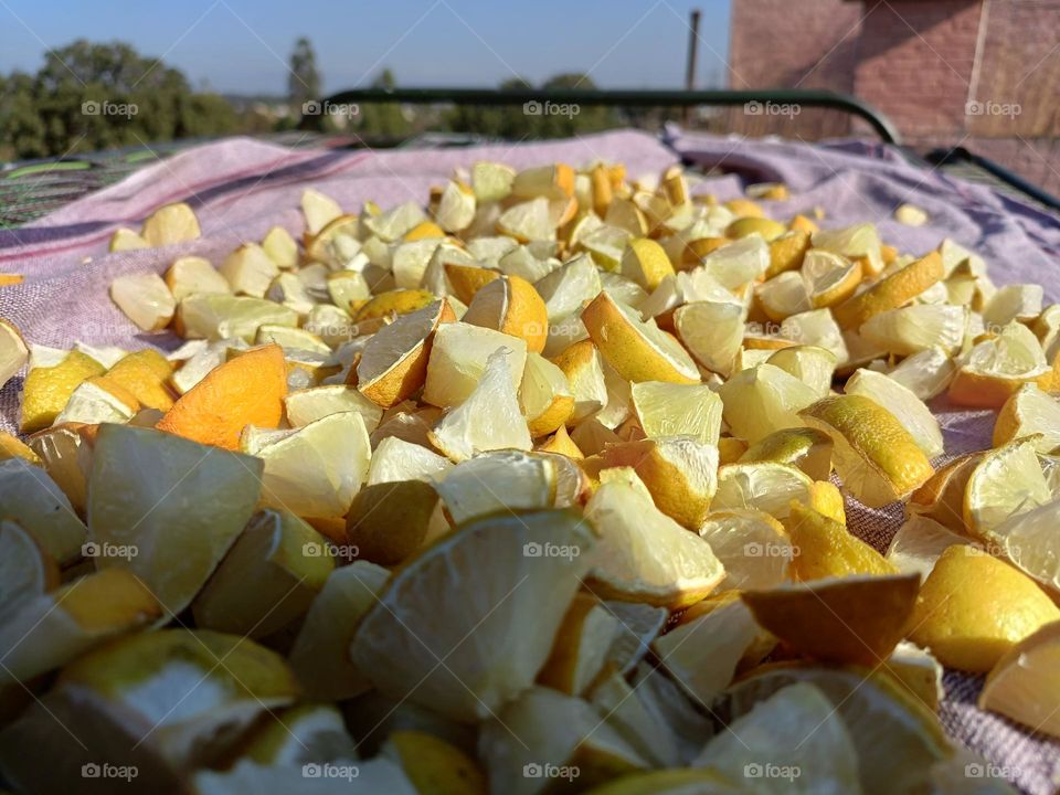 editors' choice: photo of the week