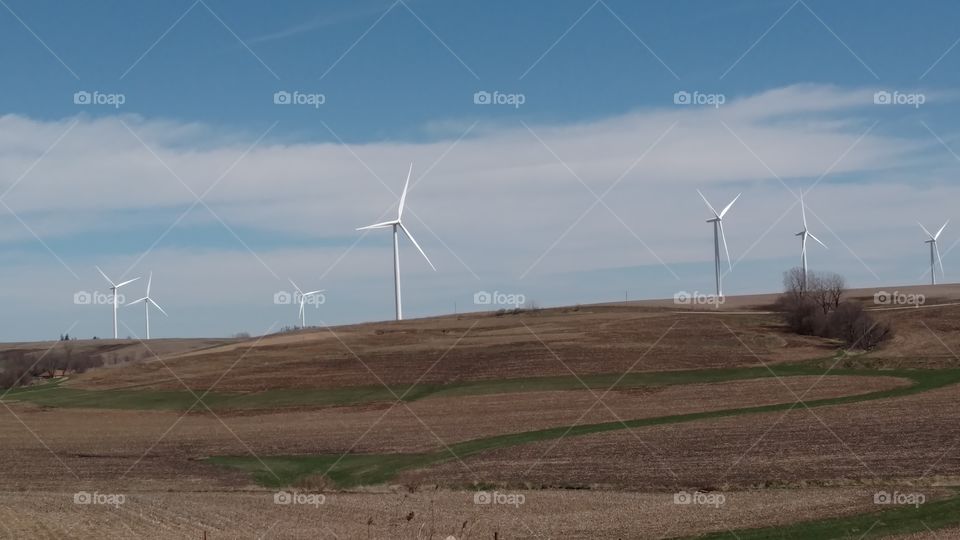 wind farm