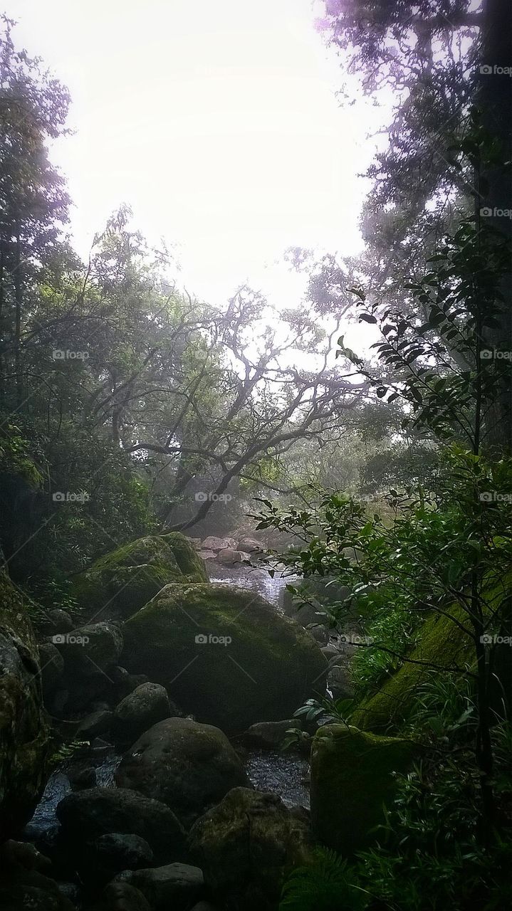 Mountain hiking