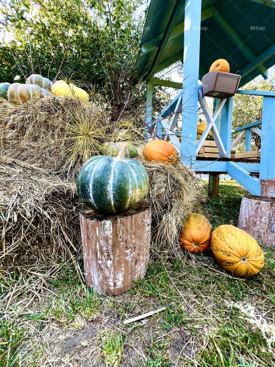 Pumpkin and hay bale decoration in the park