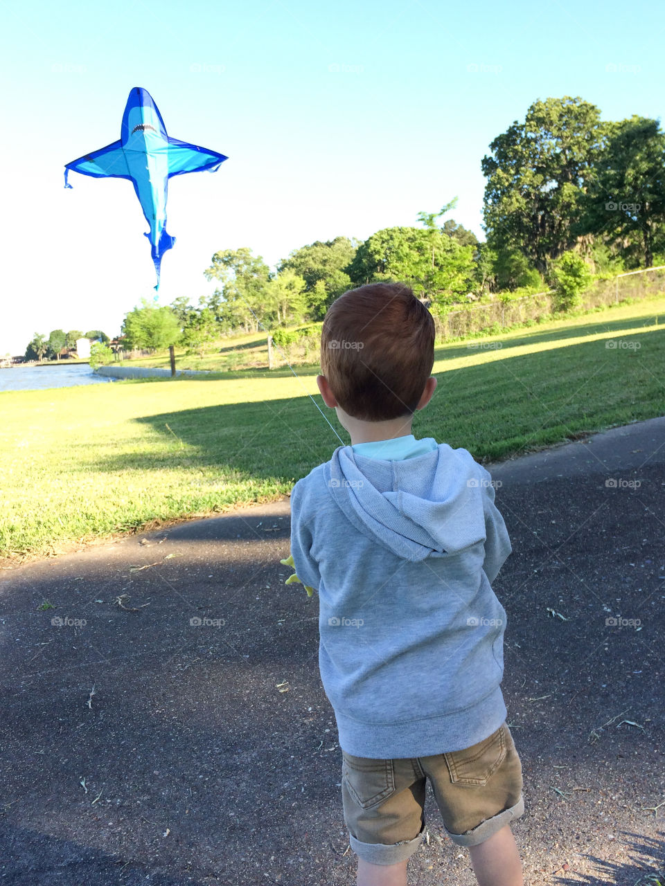 Flying kites 