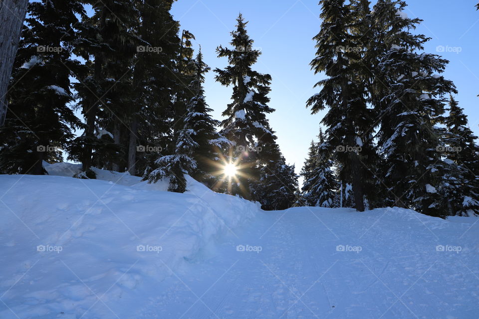 Mountain road covered with snow and sun shining through the woods on a cold winter day