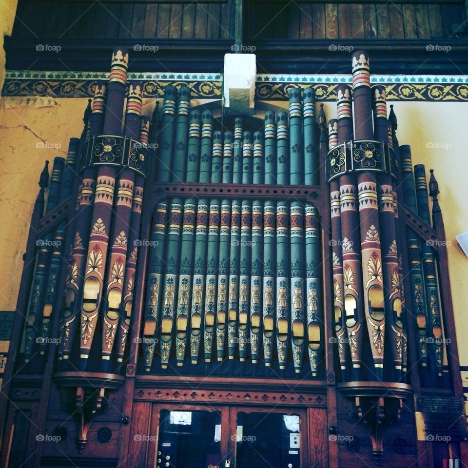 Organ