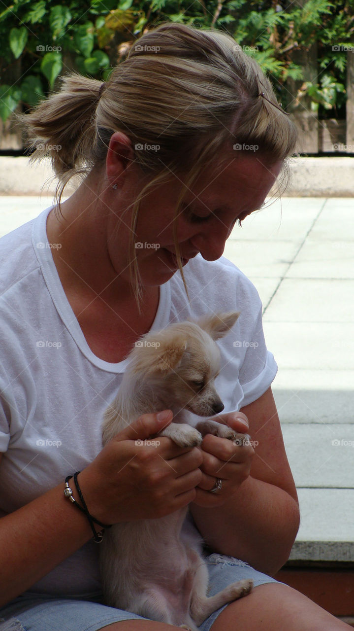 woman dog cute small dog by emmam