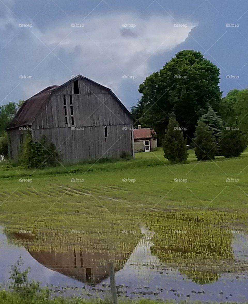 reflections of the past