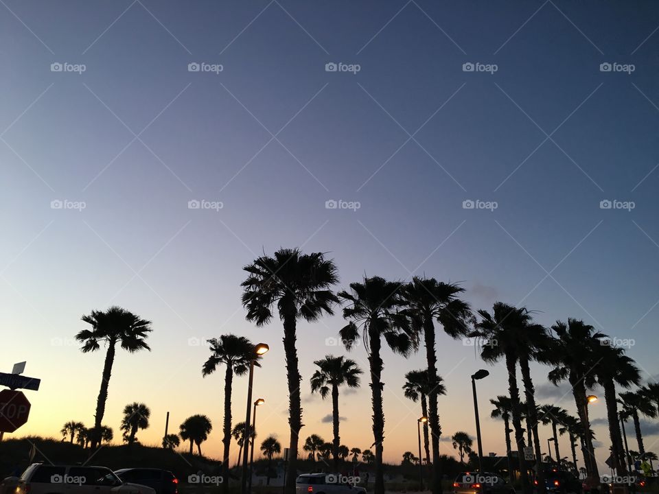 Sunset Southwest Florida 