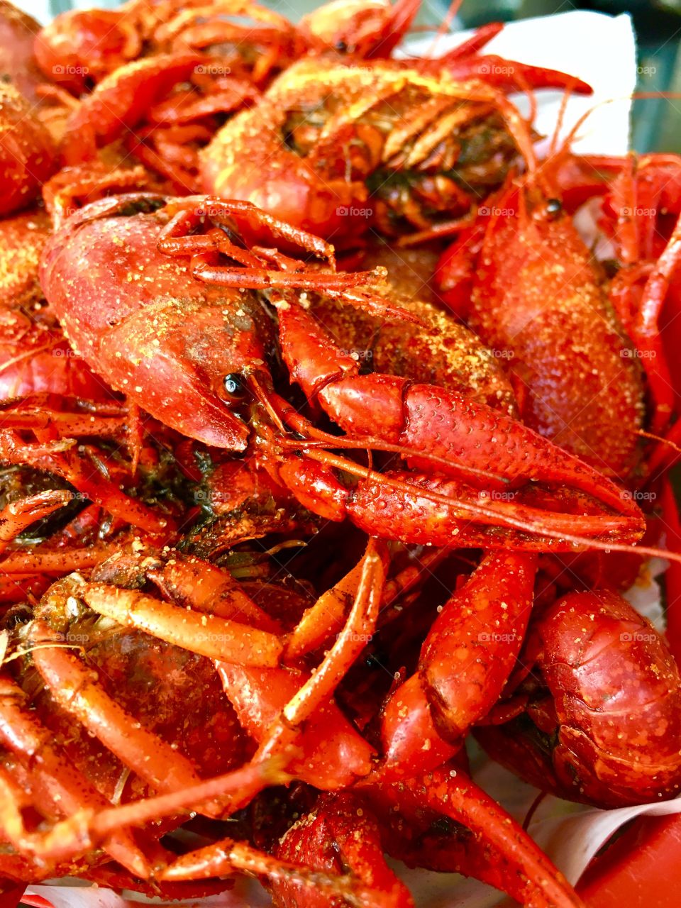 Crawfish for Lunch - Houston, Texas