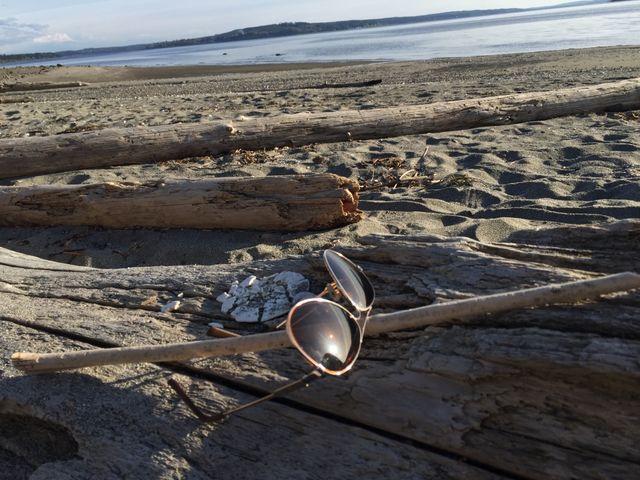 Beachy Sun Day. Sunglasses on Driftwood