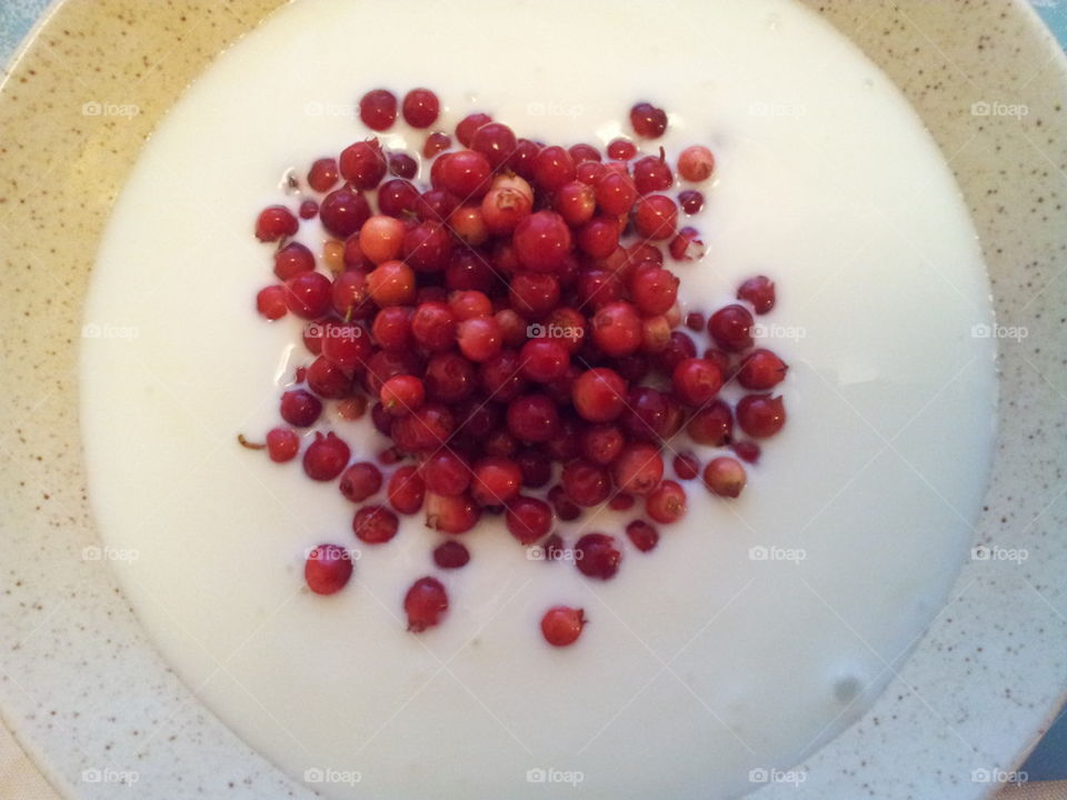 Yogurt with Lingon berries