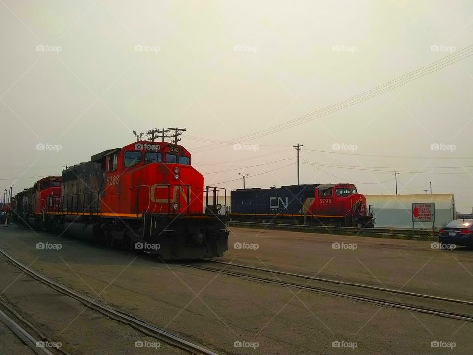 Two CN trains