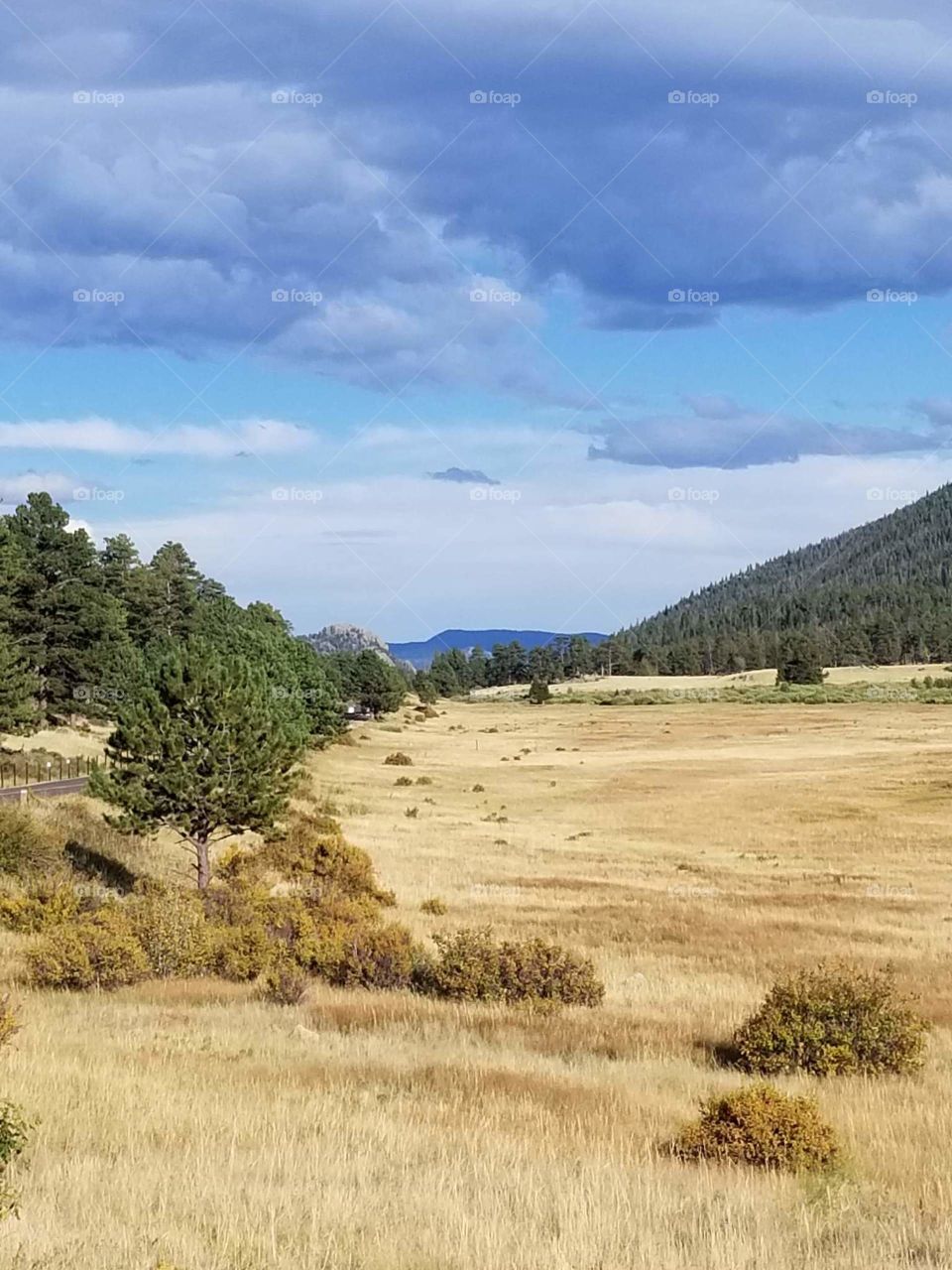 Big meadow in the Colorado mountains
