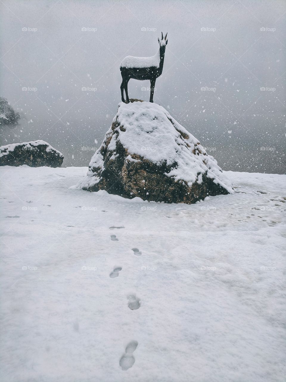 View of snowfall over the river and snow-covered road in winter time.