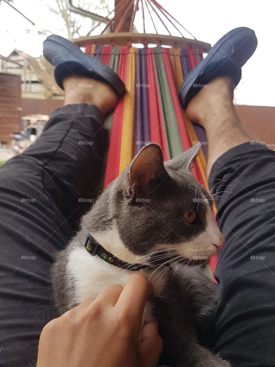 relaxing in the hammock with Felix