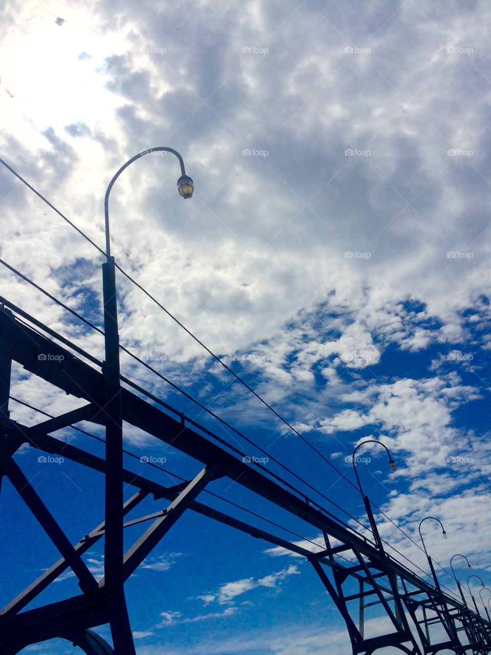 Lit Pathway to the Lake