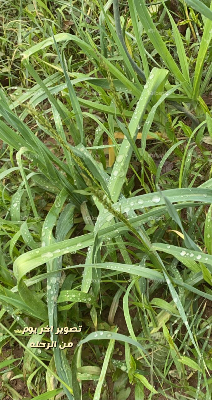 Beautiful weather, nice view in albaha city 