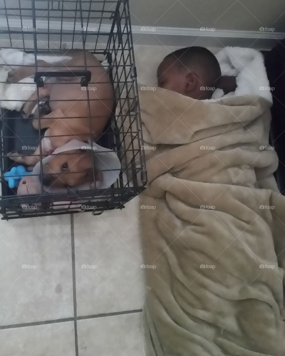 They have each other's back!