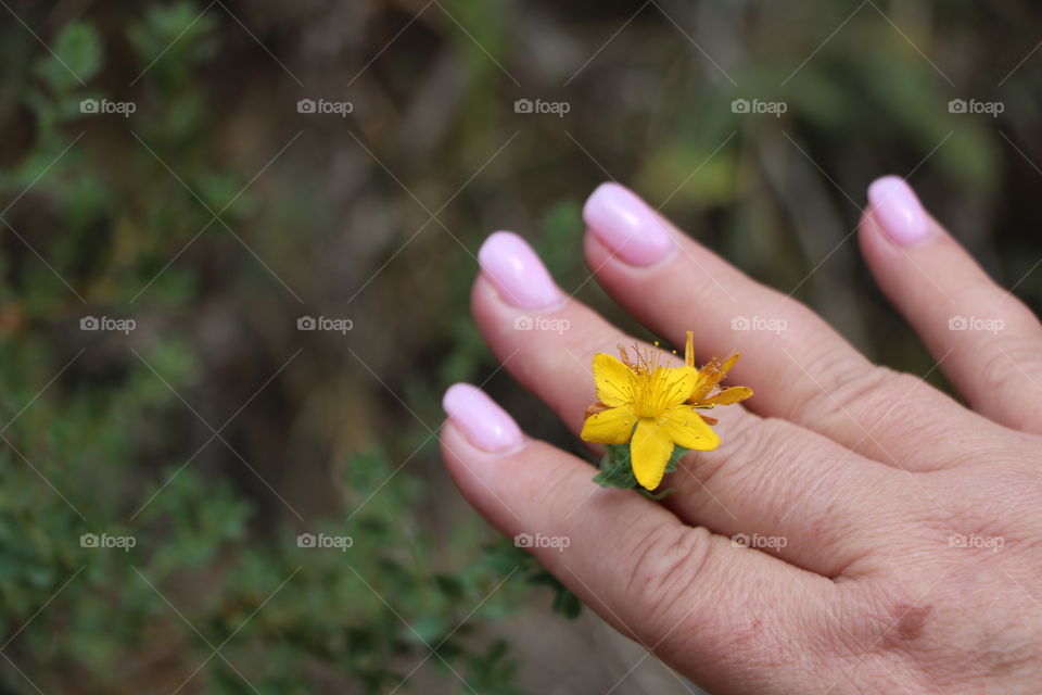 Summertime and nature is blooming 