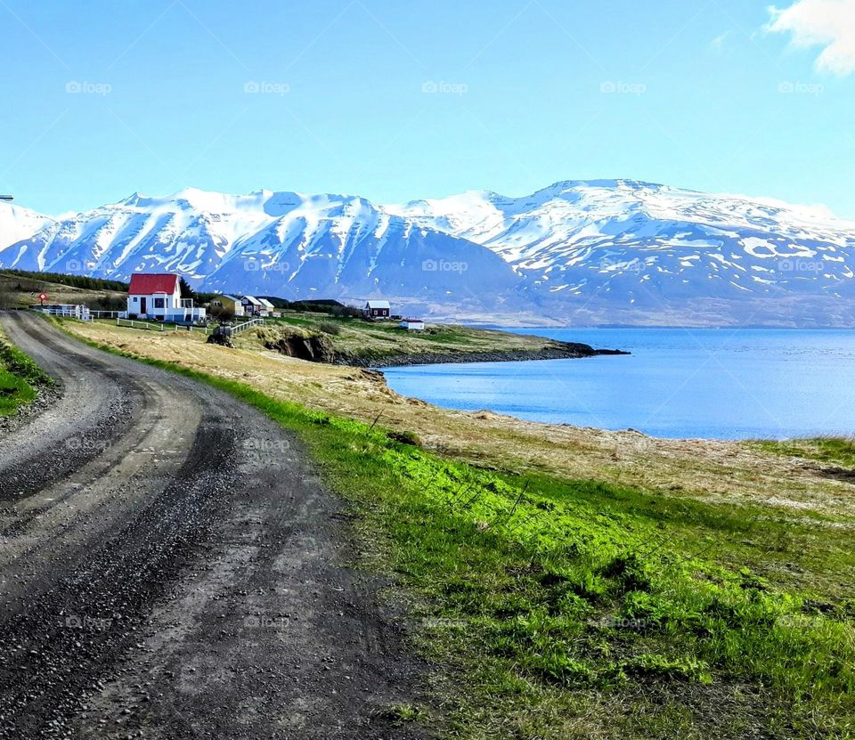 Hrísey Island 🇮🇸