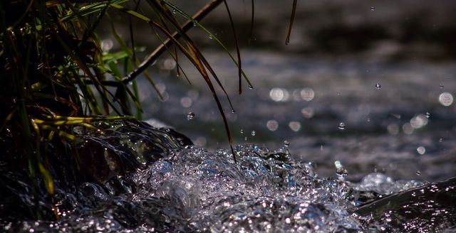 Water on the move