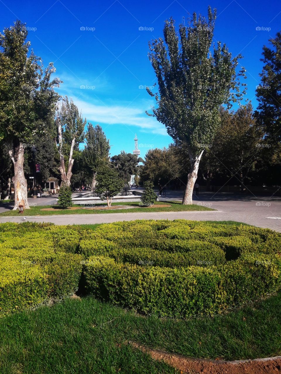 No Person, Tree, Landscape, Outdoors, Grass