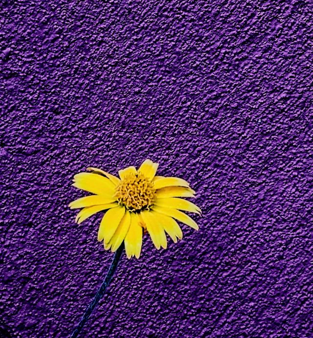 Flor amarilla