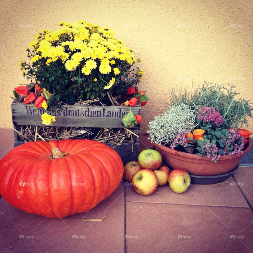 fall apple pumpkin autum by Kreativation