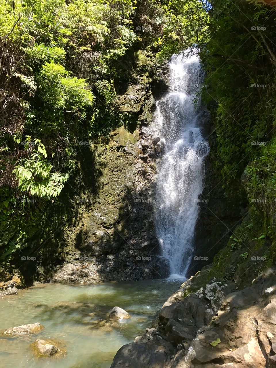 Waterfall