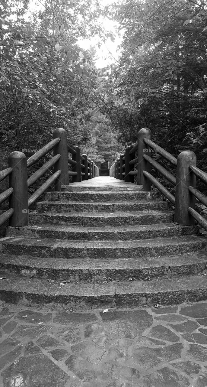Black and White -wooden bridge -hiking trail -stone path