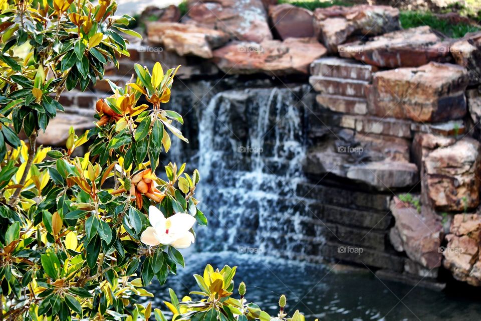 View of waterfall in forest