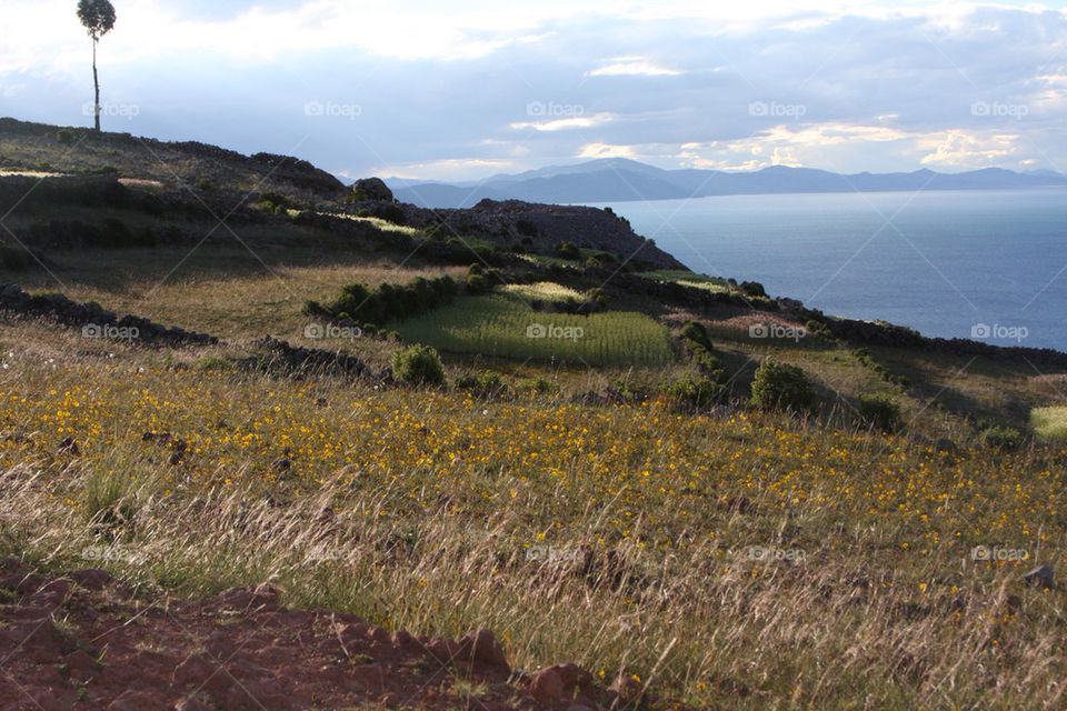 ocean sky field grass by christ